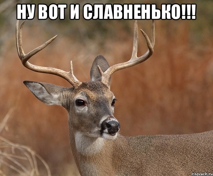 Ну вот и славненько!!! 