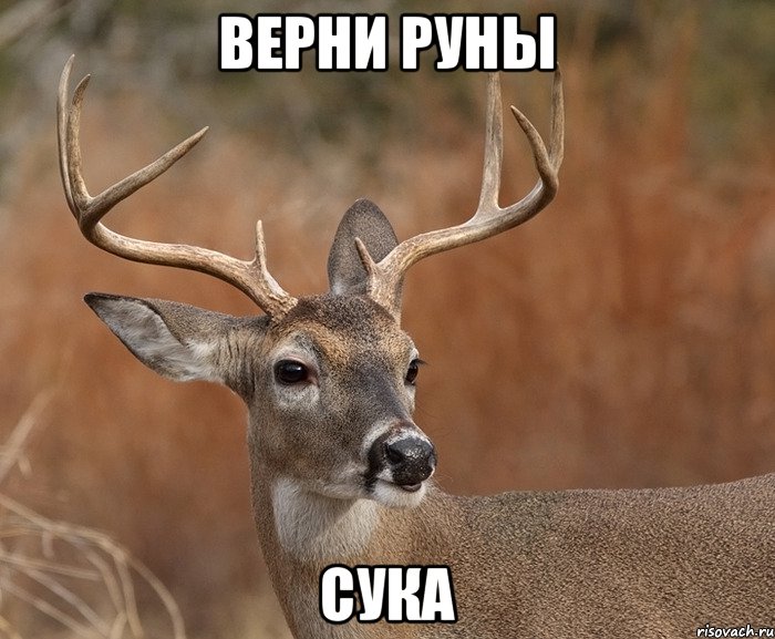 Верни Руны сука, Мем  Наивный Олень v2