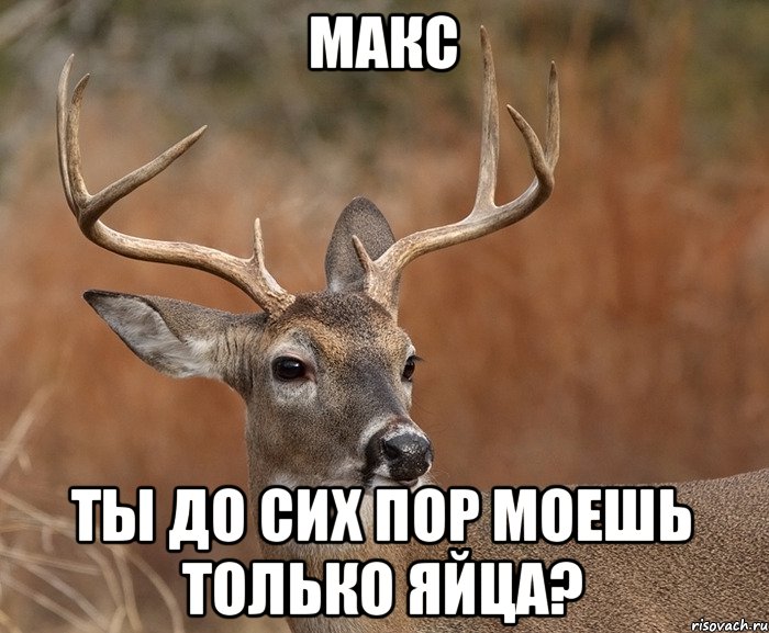 Макс ты до сих пор моешь только яйца?