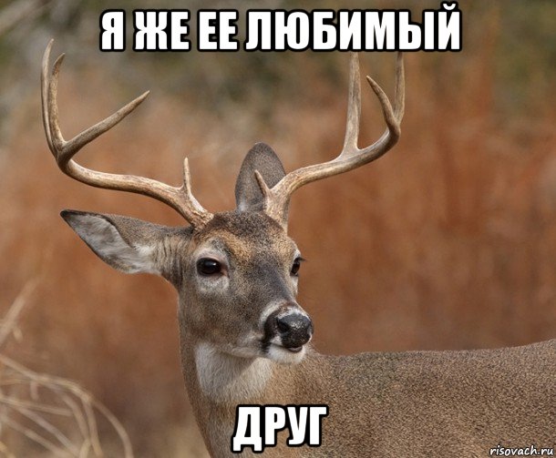 я же ее любимый друг, Мем  Наивный Олень v2