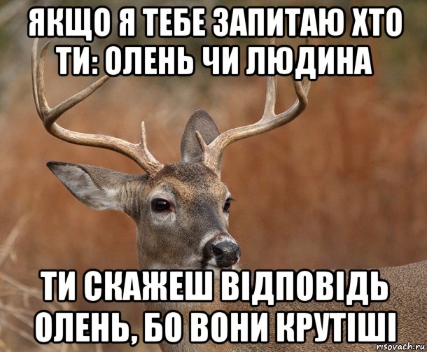 якщо я тебе запитаю хто ти: олень чи людина ти скажеш відповідь олень, бо вони крутіші, Мем  Наивный Олень v2