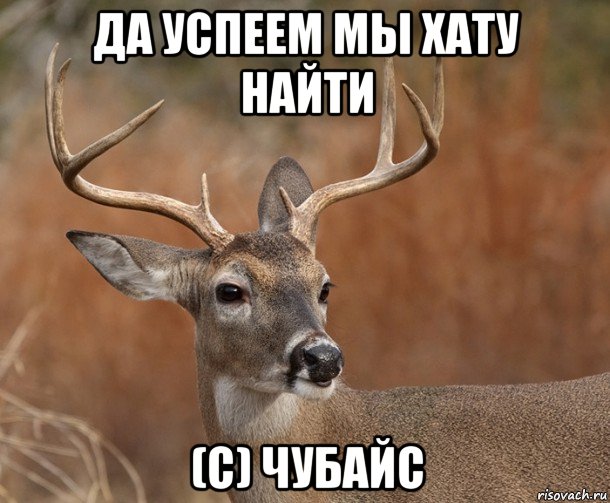 да успеем мы хату найти (с) чубайс, Мем  Наивный Олень v2