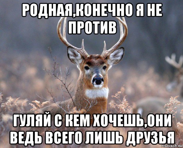 родная,конечно я не против гуляй с кем хочешь,они ведь всего лишь друзья, Мем   Наивный олень