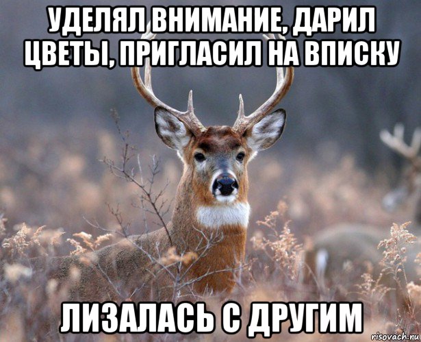 уделял внимание, дарил цветы, пригласил на вписку лизалась с другим, Мем   Наивный олень