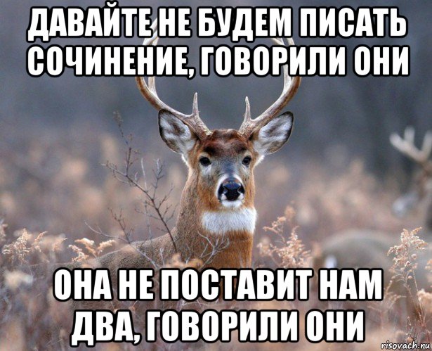 давайте не будем писать сочинение, говорили они она не поставит нам два, говорили они, Мем   Наивный олень