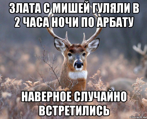 злата с мишей гуляли в 2 часа ночи по арбату наверное случайно встретились, Мем   Наивный олень