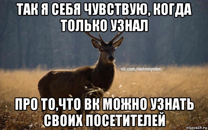 так я себя чувствую, когда только узнал про то,что вк можно узнать своих посетителей