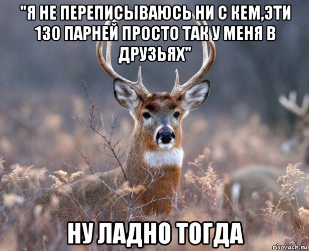 "я не переписываюсь ни с кем,эти 130 парней просто так у меня в друзьях" ну ладно тогда, Мем   Наивный олень