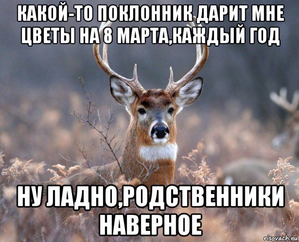 какой-то поклонник дарит мне цветы на 8 марта,каждый год ну ладно,родственники наверное, Мем   Наивный олень