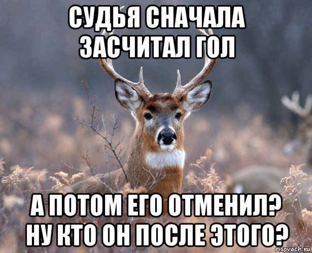 судья сначала засчитал гол а потом его отменил? ну кто он после этого?, Мем   Наивный олень