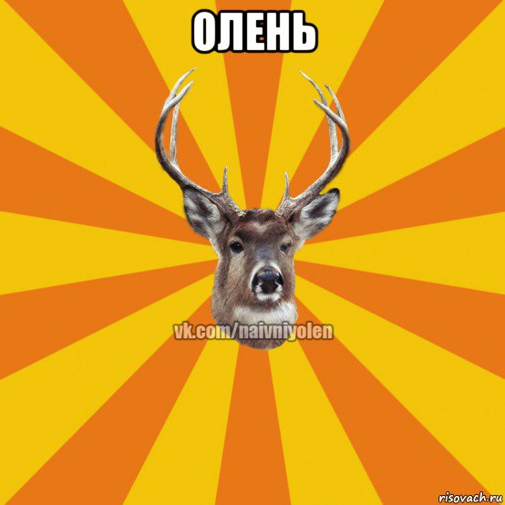 олень 