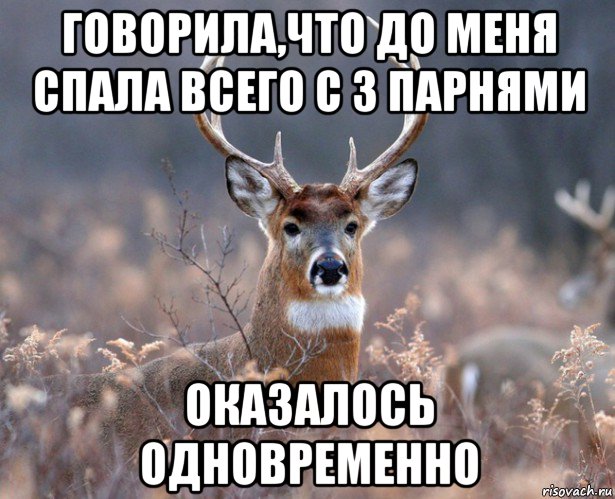 говорила,что до меня спала всего с 3 парнями оказалось одновременно, Мем   Наивный олень