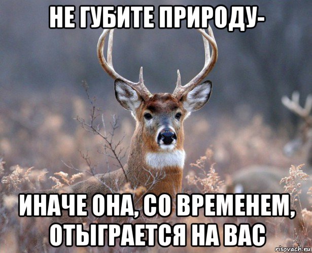 не губите природу- иначе она, со временем, отыграется на вас, Мем   Наивный олень