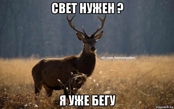 свет нужен ? я уже бегу