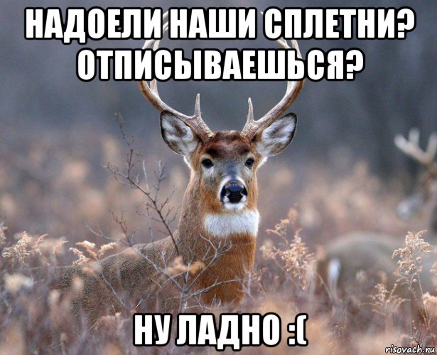 надоели наши сплетни? отписываешься? ну ладно :(, Мем   Наивный олень