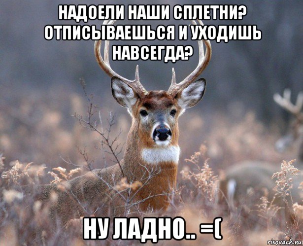 надоели наши сплетни? отписываешься и уходишь навсегда? ну ладно.. =(, Мем   Наивный олень