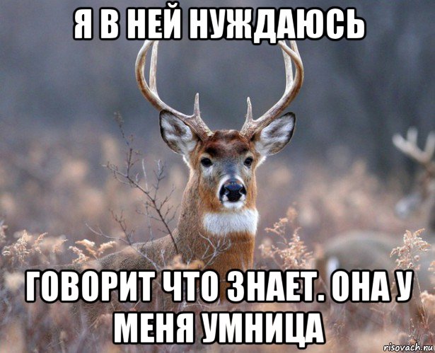 я в ней нуждаюсь говорит что знает. она у меня умница, Мем   Наивный олень