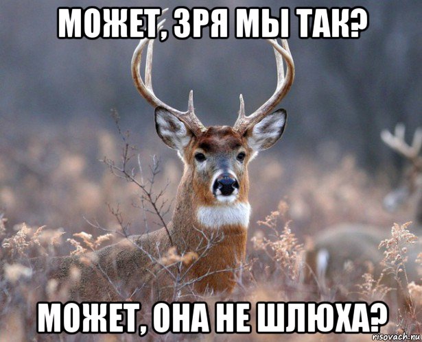 может, зря мы так? может, она не шлюха?, Мем   Наивный олень