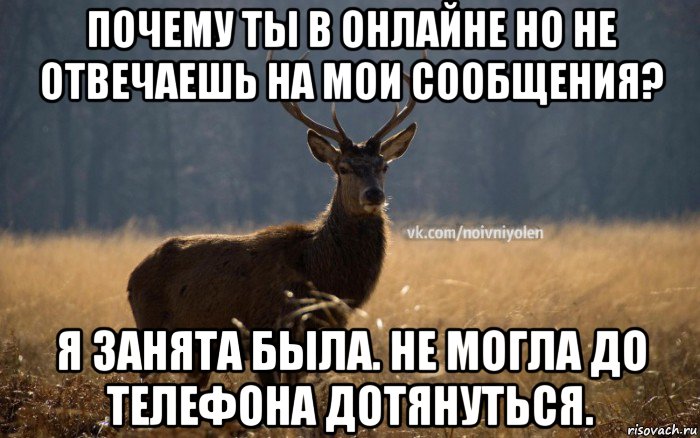 почему ты в онлайне но не отвечаешь на мои сообщения? я занята была. не могла до телефона дотянуться., Мем Наивный Олень vk2