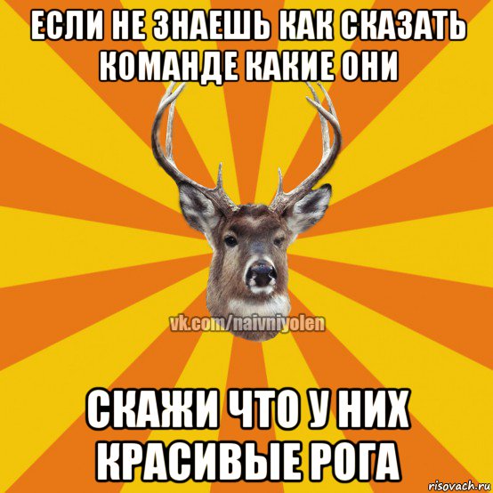 если не знаешь как сказать команде какие они скажи что у них красивые рога, Мем Наивный Олень вк