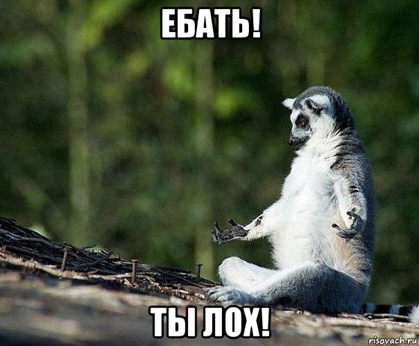 ебать! ты лох!, Мем не узбагоюсь