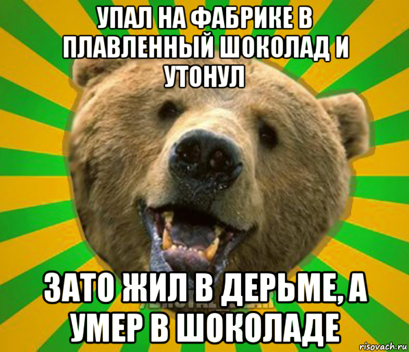 упал на фабрике в плавленный шоколад и утонул зато жил в дерьме, а умер в шоколаде, Мем Нелепый медведь