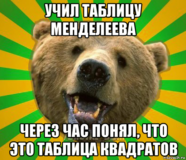 учил таблицу менделеева через час понял, что это таблица квадратов, Мем Нелепый медведь