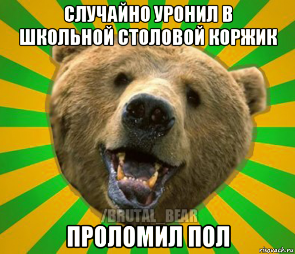 случайно уронил в школьной столовой коржик проломил пол, Мем Нелепый медведь