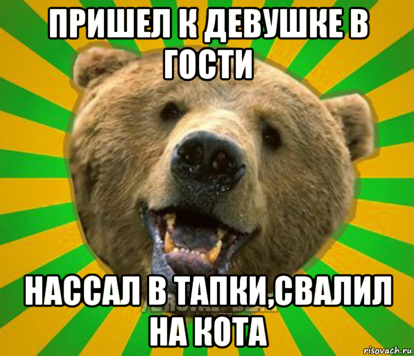 пришел к девушке в гости нассал в тапки,свалил на кота, Мем Нелепый медведь