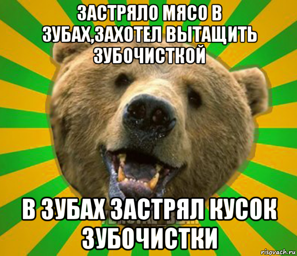 застряло мясо в зубах,захотел вытащить зубочисткой в зубах застрял кусок зубочистки, Мем Нелепый медведь