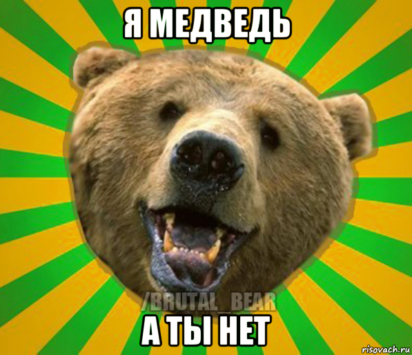 я медведь а ты нет, Мем Нелепый медведь