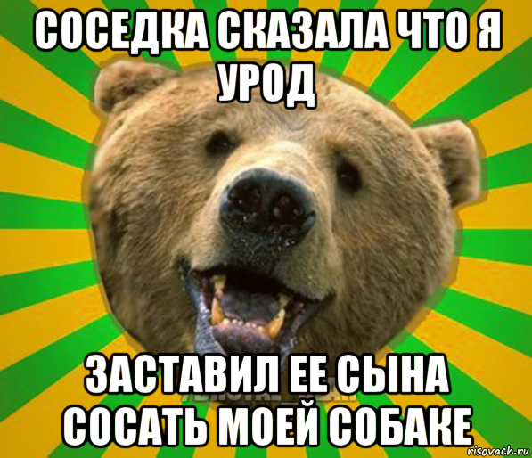 соседка сказала что я урод заставил ее сына сосать моей собаке, Мем Нелепый медведь