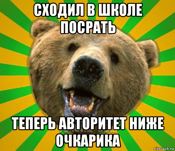 сходил в школе посрать теперь авторитет ниже очкарика, Мем Нелепый медведь