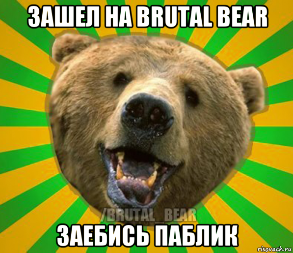 зашел на brutal bear заебись паблик, Мем Нелепый медведь