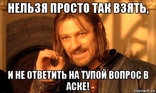 нельзя просто так взять, и не ответить на тупой вопрос в аске!, Мем Нельзя просто так взять и (Боромир мем)