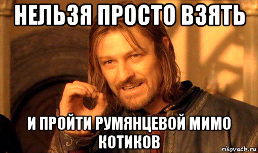 нельзя просто взять и пройти румянцевой мимо котиков, Мем Нельзя просто так взять и (Боромир мем)