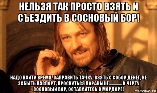 нельзя так просто взять и съездить в сосновый бор! надо найти время, заправить тачку, взять с собой денег, не забыть паспорт, проснуться пораньше.............. к черту сосновый бор, оставайтесь в мордоре!, Мем Нельзя просто так взять и (Боромир мем)