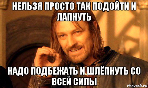 нельзя просто так подойти и лапнуть надо подбежать и шлёпнуть со всей силы, Мем Нельзя просто так взять и (Боромир мем)