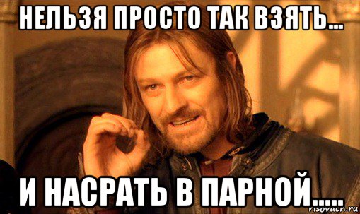 нельзя просто так взять... и насрать в парной....., Мем Нельзя просто так взять и (Боромир мем)