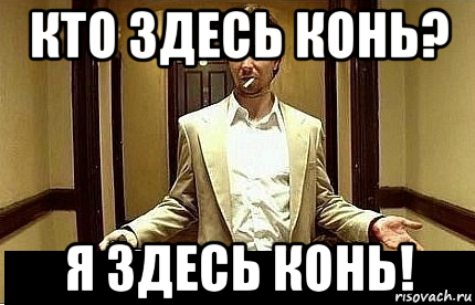 кто здесь конь? я здесь конь!