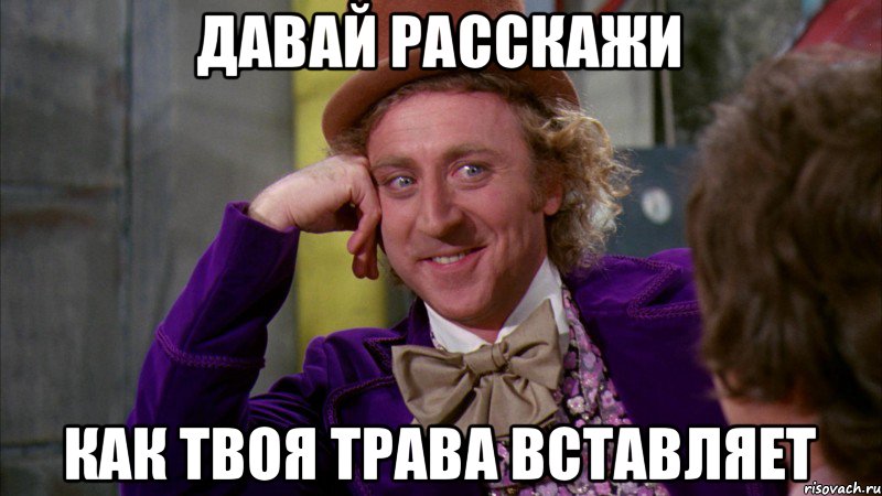 Давай расскажи Как твоя трава вставляет, Мем Ну давай расскажи (Вилли Вонка)