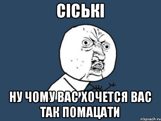 Сіські Ну чому вас хочется вас так помацати, Мем Ну почему