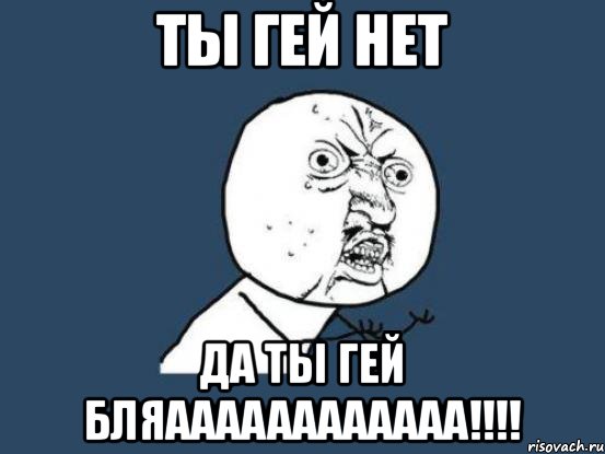 Ты гей нет Да ты гей бляаааааааааааа!!!!, Мем Ну почему