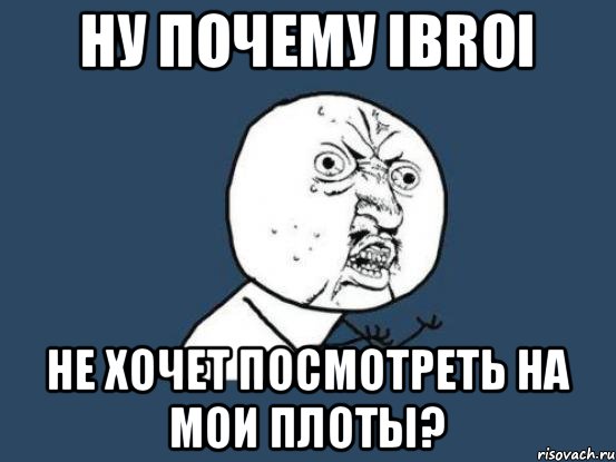 Ну почему IBROI не хочет посмотреть на мои плоты?, Мем Ну почему