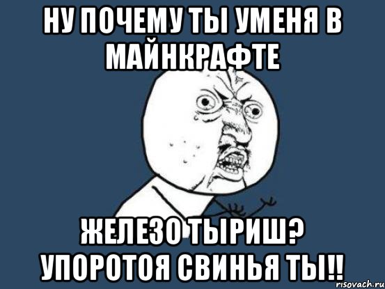 Ну почему ты уменя в майнкрафте железо тыриш? Упоротоя свинья ты!!, Мем Ну почему