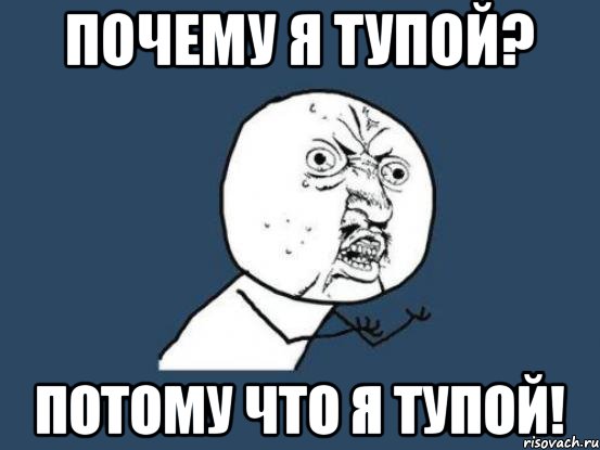 Почему я тупой? Потому что я тупой!, Мем Ну почему