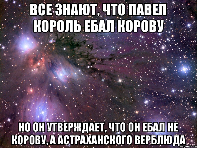 Все знают, что Павел Король ебал корову Но он утверждает, что он ебал не корову, а Астраханского верблюда, Мем Космос