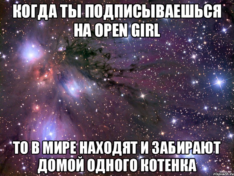 Когда ты подписываешься на open girl то в мире находят и забирают домой одного котенка, Мем Космос