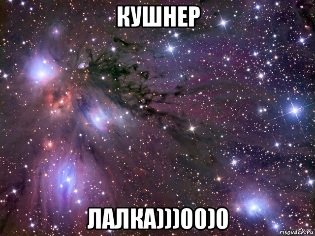 кушнер лалка)))00)0, Мем Космос