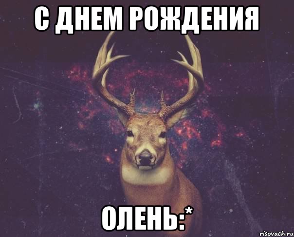 С днем рождения Олень:*